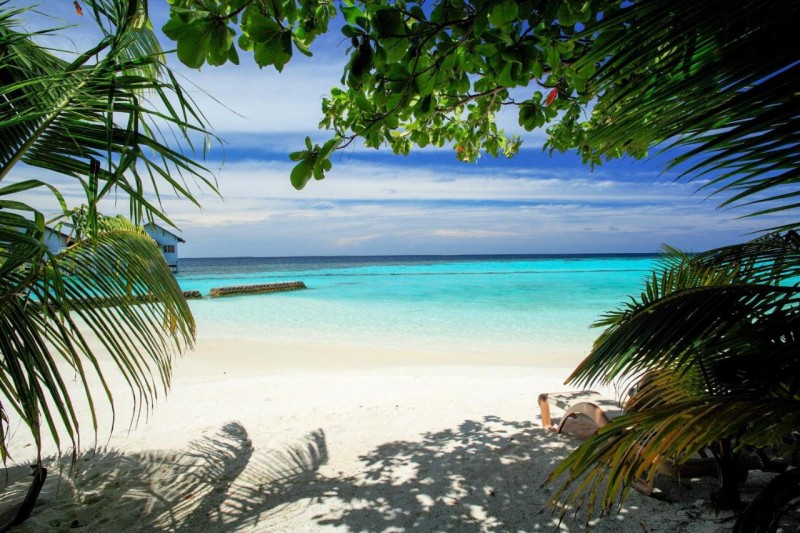 Image: The Centara Collection, Machchafushi Island Resort & Spa Maldives - Stay 4 nights or more, enjoy 25 percent off Seaplane transfers, valid for stays from 10 Apr to Sep 2026