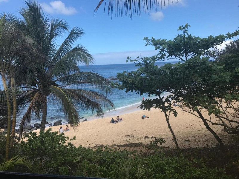 Image: Backpackers Vacation Inn and Plantation Village