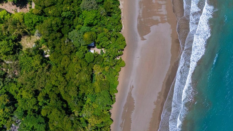 Image: Elan at Ballena Beach