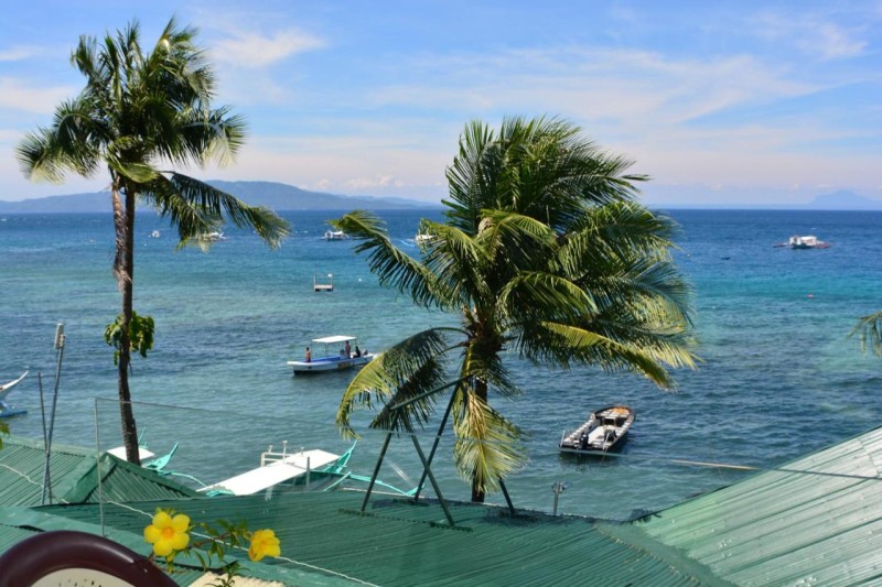 Image: Captngreggs Dive Resort