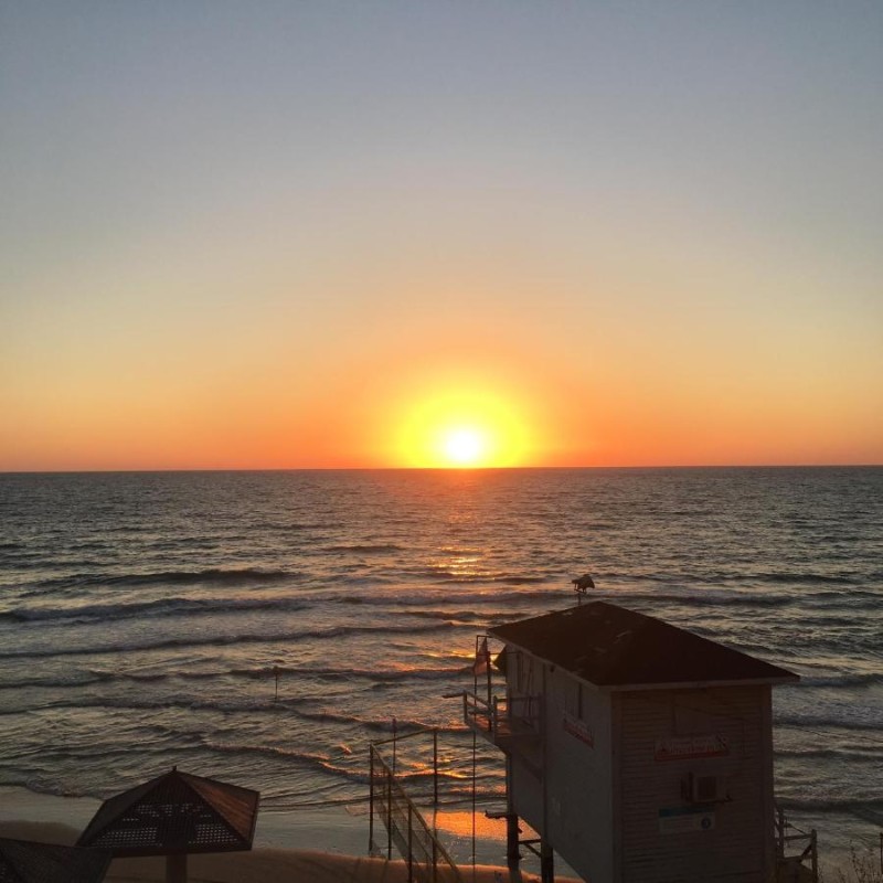 Image: מלון מדיטרה בוטיק - כשר למהדרין נתניה