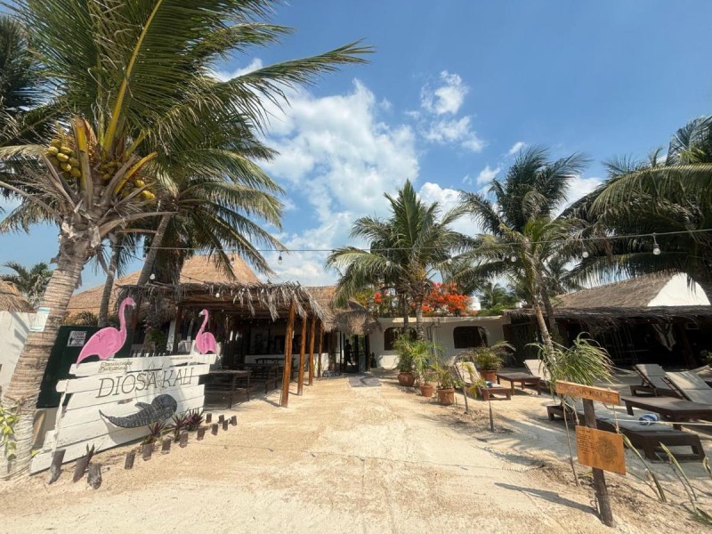 Image: La Diosa Kali Beach Front Hotel
