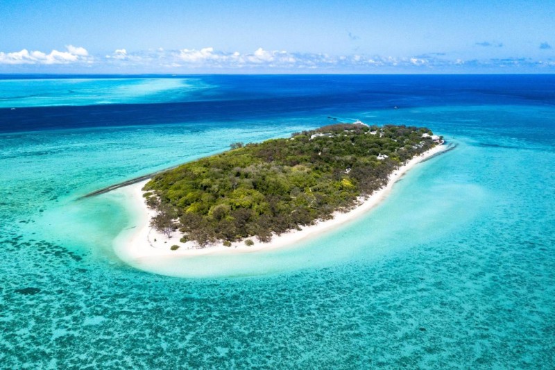 Image: Heron Island