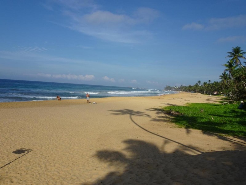 Image: Suite Lanka