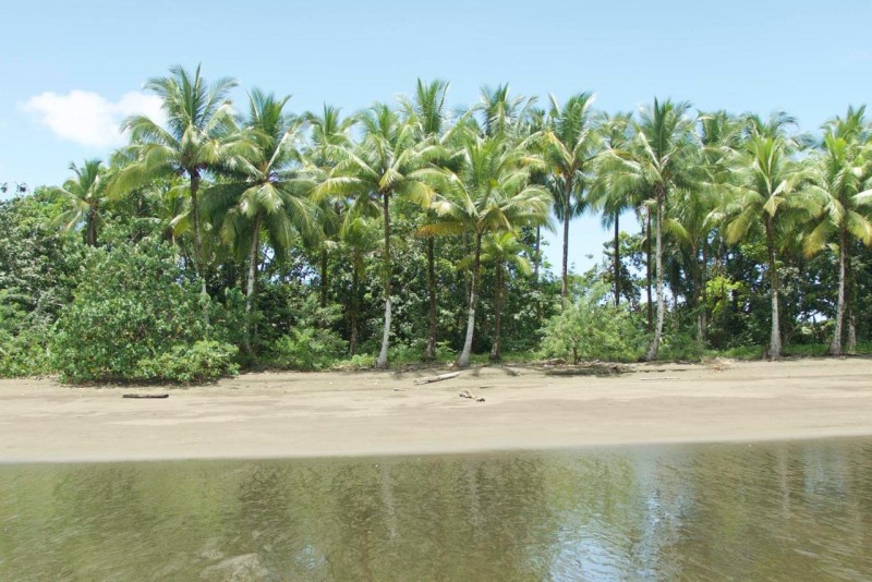 Image: Ecolodge Mar y Rio