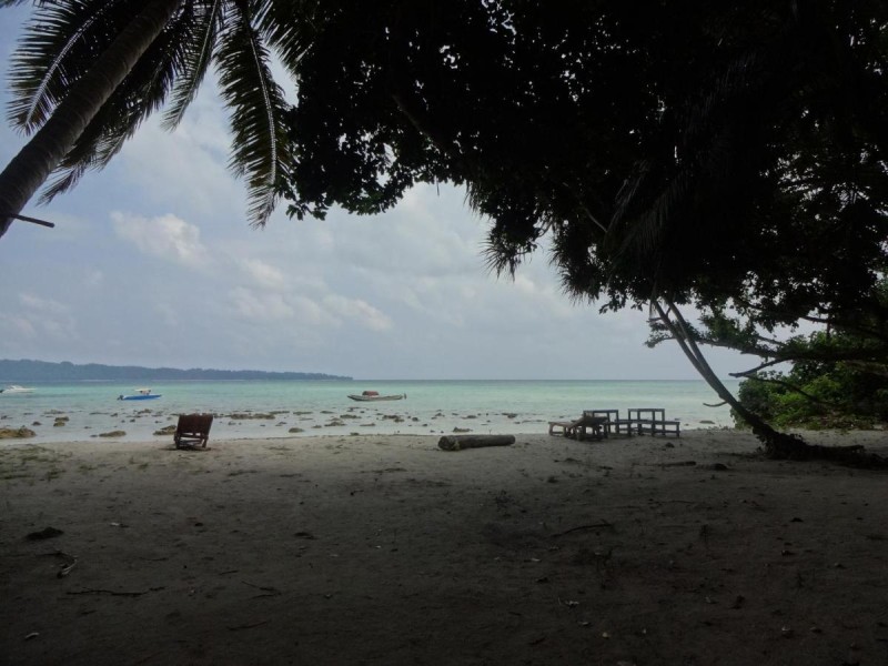 Image: Gold India Beach Resort