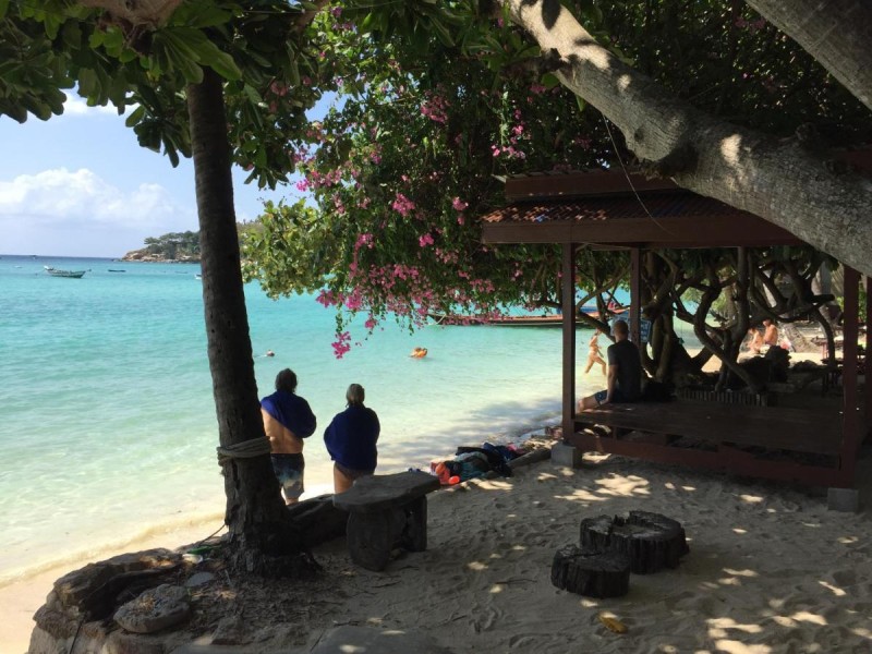 Image: Big Fish Resort Koh Tao
