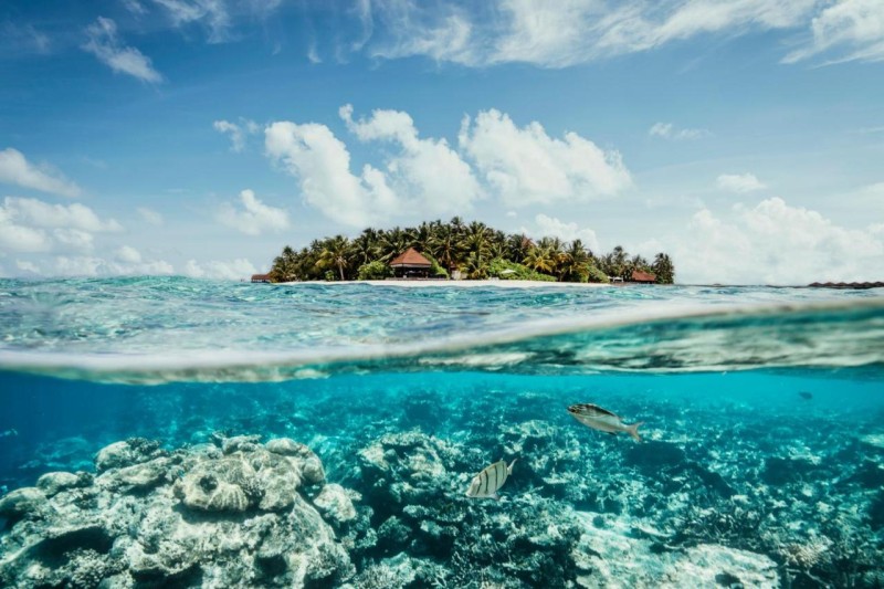 Image: ROBINSON MALDIVES - Adults only
