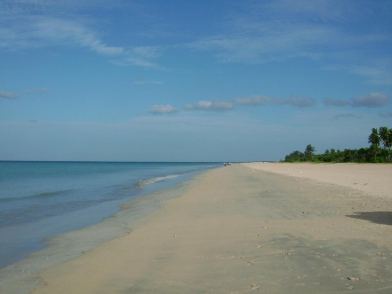 Image: Pigeon Island Beach Resort and Spa