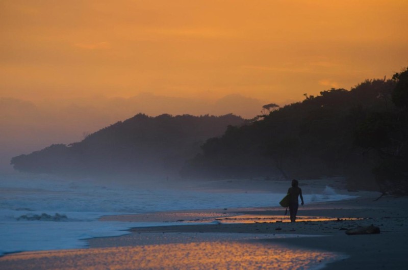 Image: Zeneidas Surf Garden