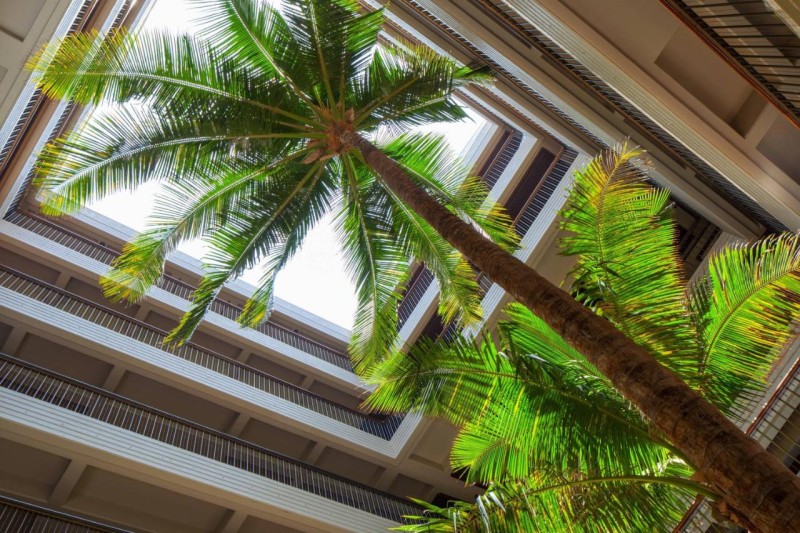 Image: Mauna Kea Beach Hotel, Autograph Collection