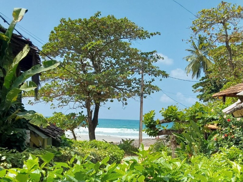 Image: Beach House NATUREZA self check-in