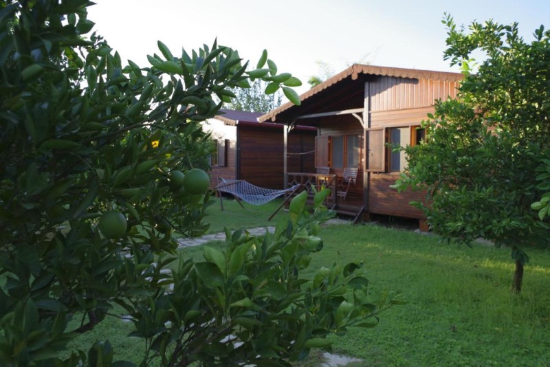 Image: Ozge Bungalow Hotel
