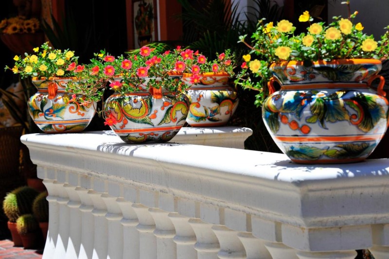 Image: Blue Seas Courtyard