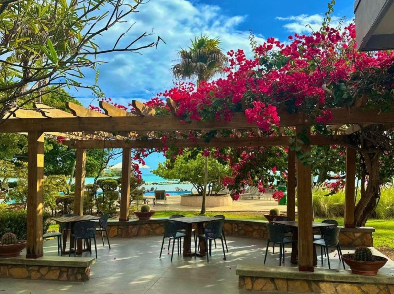 Image: Copamarina Beach Resort & Spa
