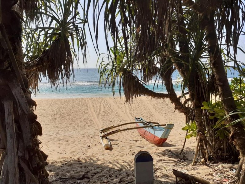 Image: Turtle Paradise