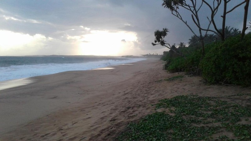 Image: Turtle Watch Cabana