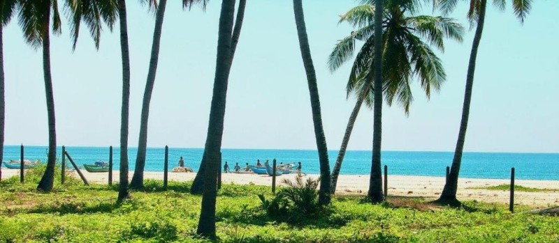 Image: Cocoville