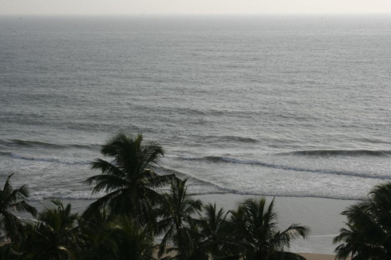 Image: Gokulam Grand Turtle On The Beach