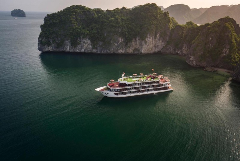 Image: Dora Cruise by HAG