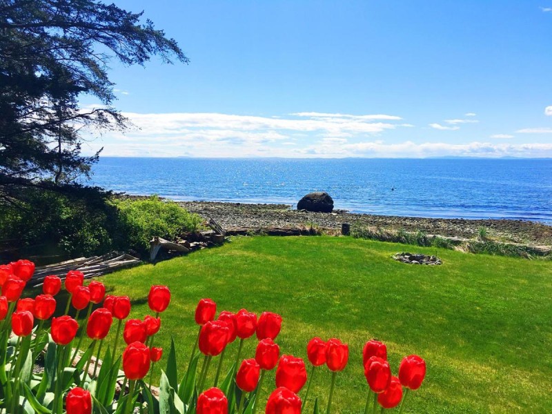 Image: Bonniebrook Lodge