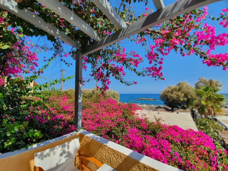 Image: Nostos Beach