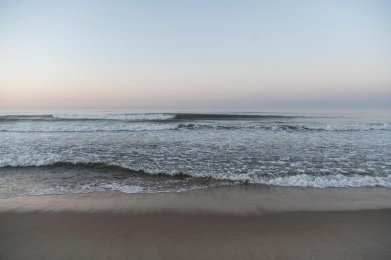 Image: Marram