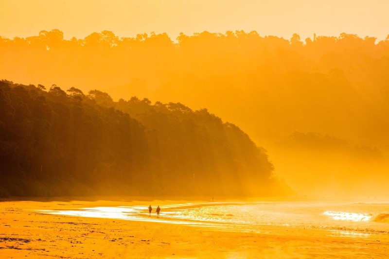 Image: Taj Exotica Resort & Spa, Andamans