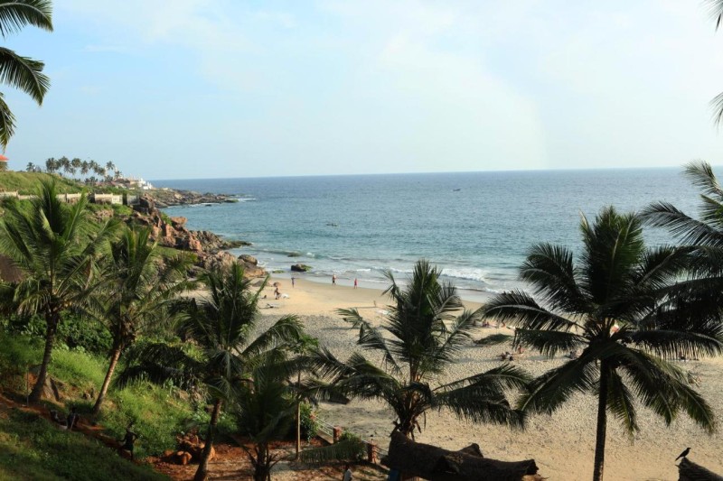 Image: Soma Palmshore