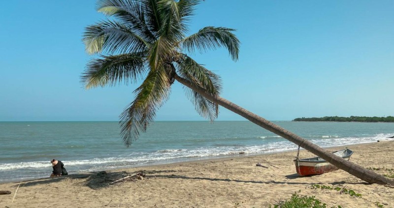 Image: Coccoloba Beach Hotel