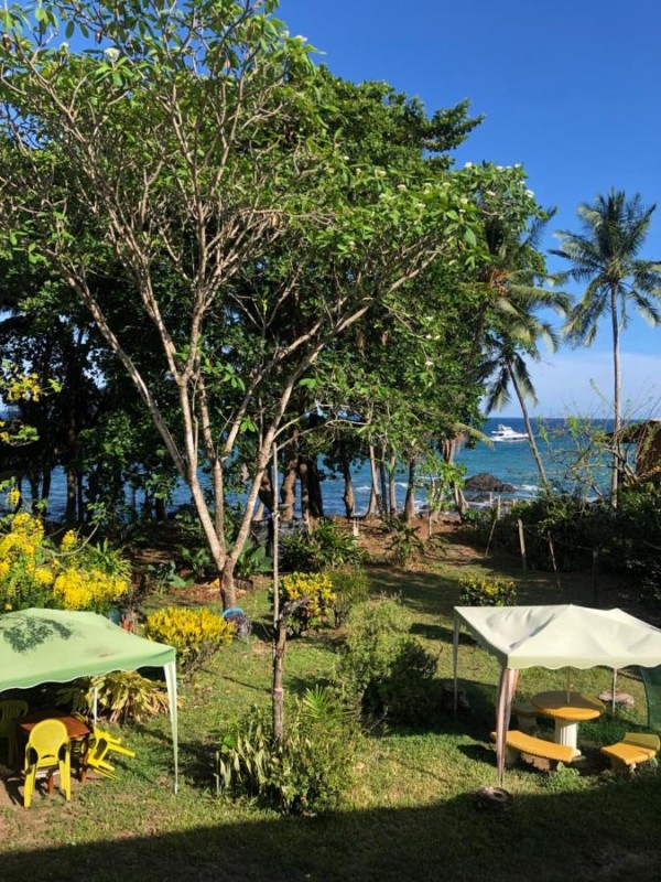 Image: El Pargo Feliz