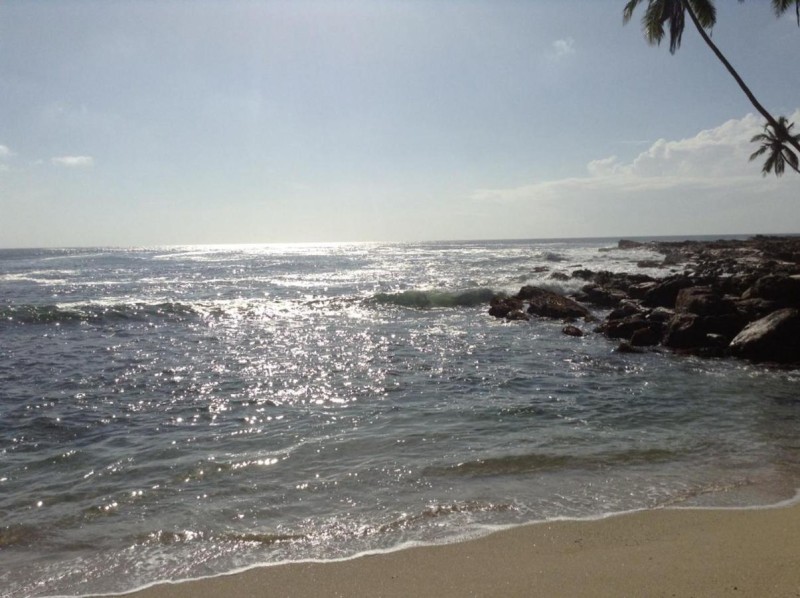 Image: Star Beach Hotel