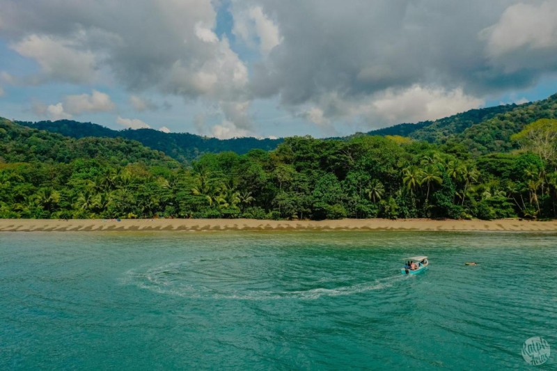 Image: Dolphin Quest Jungle Lodge