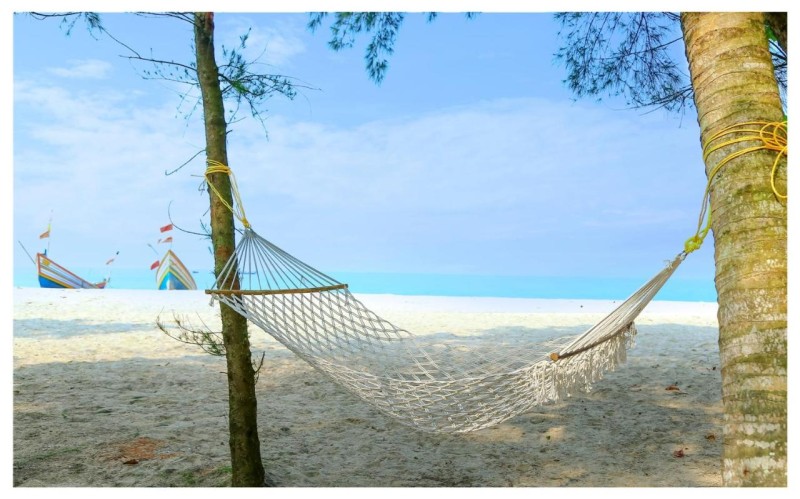 Image: Seclude Kerala, Marari Sands