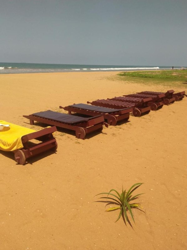 Image: Green Shadows Beach Hotel