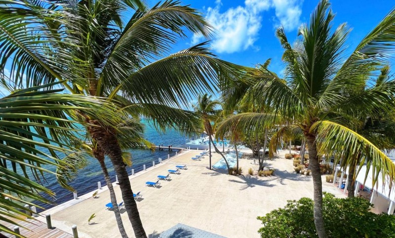 Image: Pines & Palms Resort
