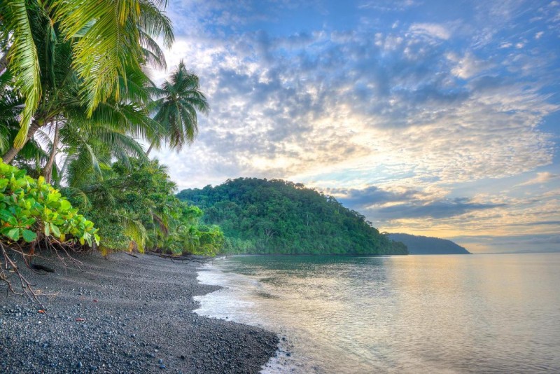 Image: Playa Nicuesa Rainforest Eco Sanctuary