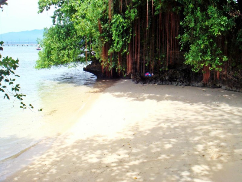 Image: Bunaken Divers Sea Breeze Resort