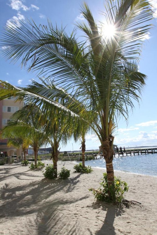 Image: Princess Bayside Beach Hotel