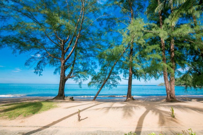Image: The Anda Mani Khaolak Beachfront Villas - Adult only