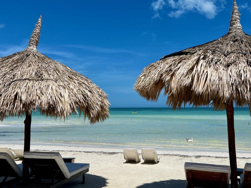 Image: Palapas del Sol