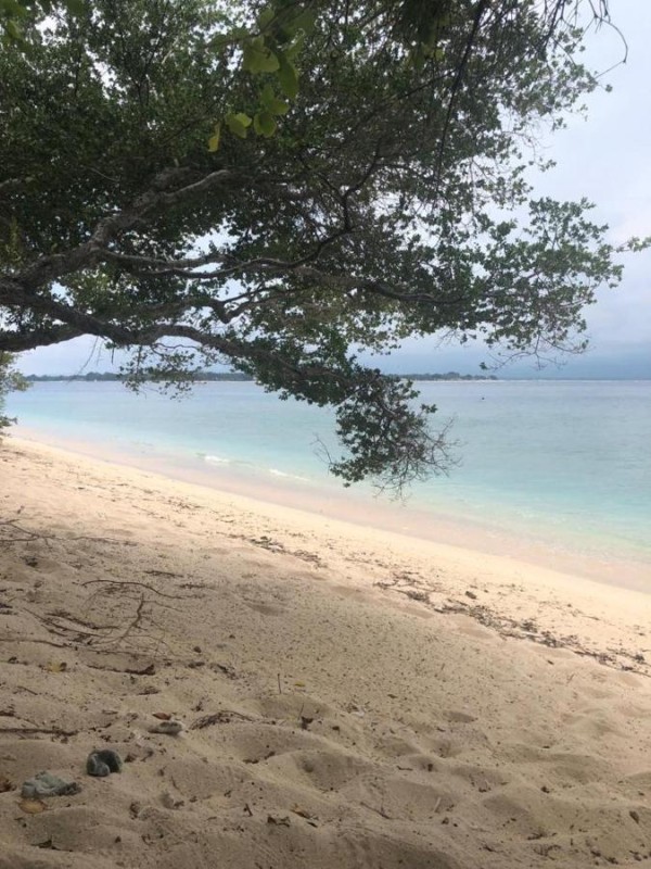 Image: Biru Meno Beach Bungalows