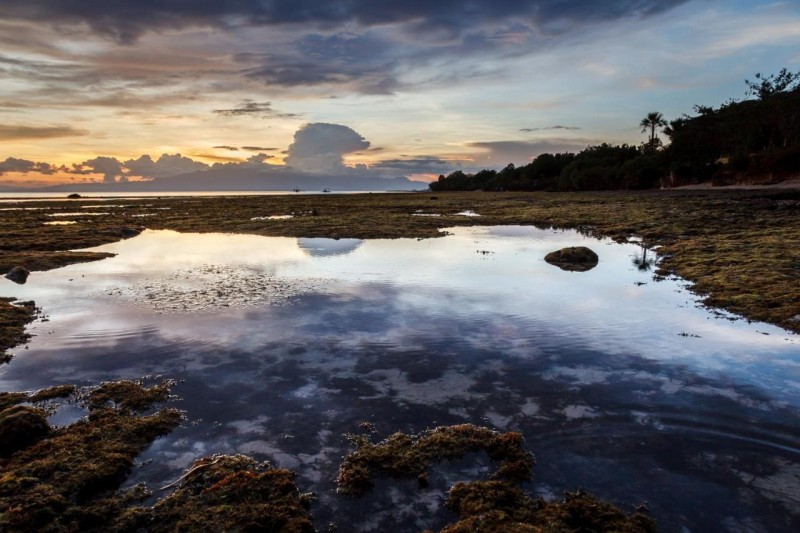 Image: Residencia Diosa