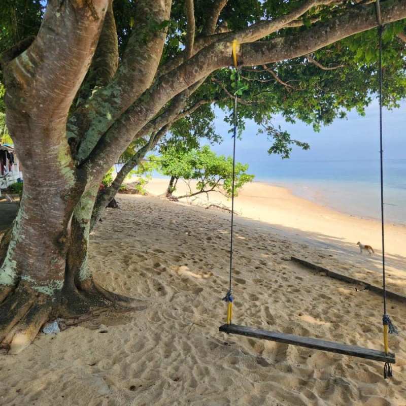 Image: Coral Reef Holidays