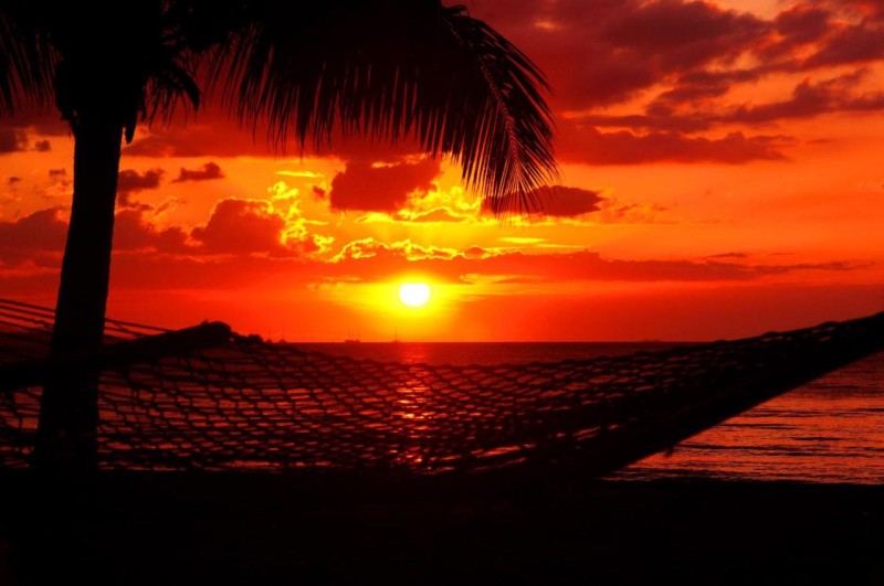 Image: Bamboo Backpackers
