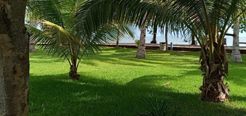 Image: Hotel Wailiti