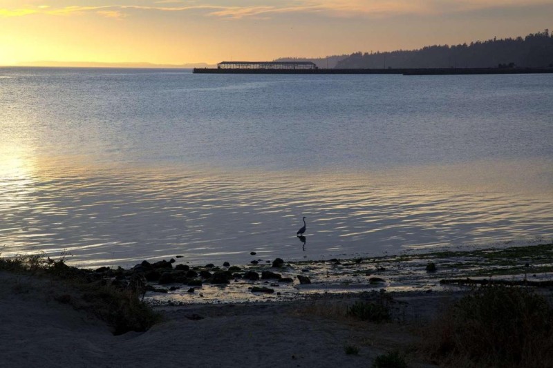 Image: Red Lion Hotel Port Angeles Harbor