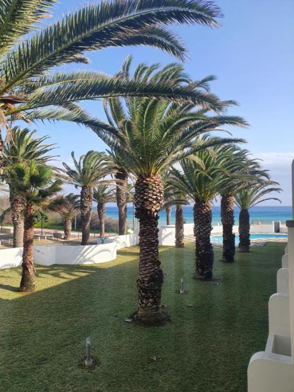 Image: Hotel Torre Praia