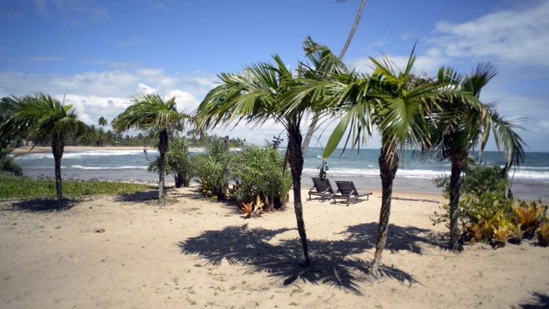 Image: Pousada Tortuga