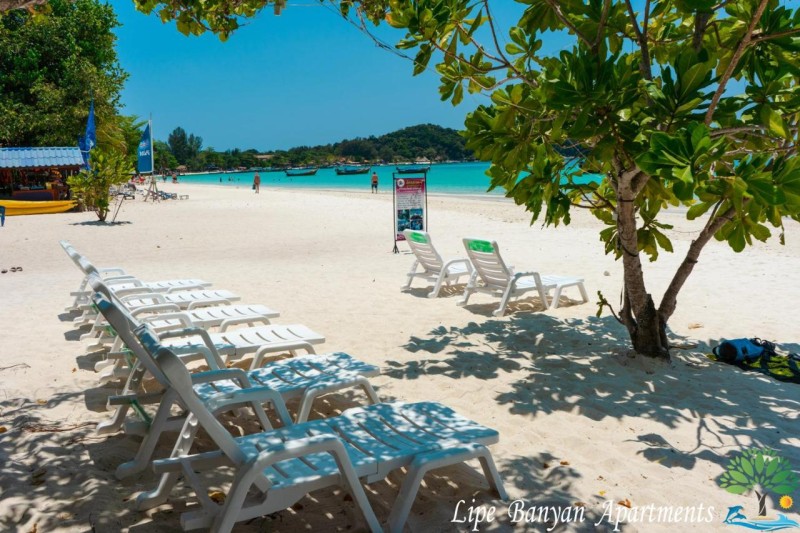 Image: Lipe Banyan Apartments